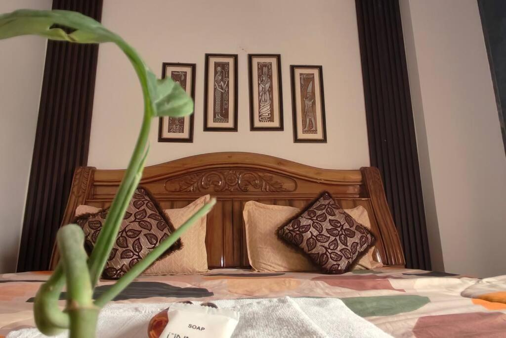The Unmad Three Premium Rooms, Kitchen, Lobby * New Delhi